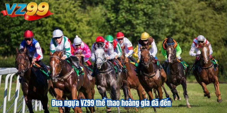 Đua ngựa VZ99: Cá cược thể thao độc đáo tại Việt Nam 2 Đua ngựa VZ99 thể thao hoàng gia đã đến