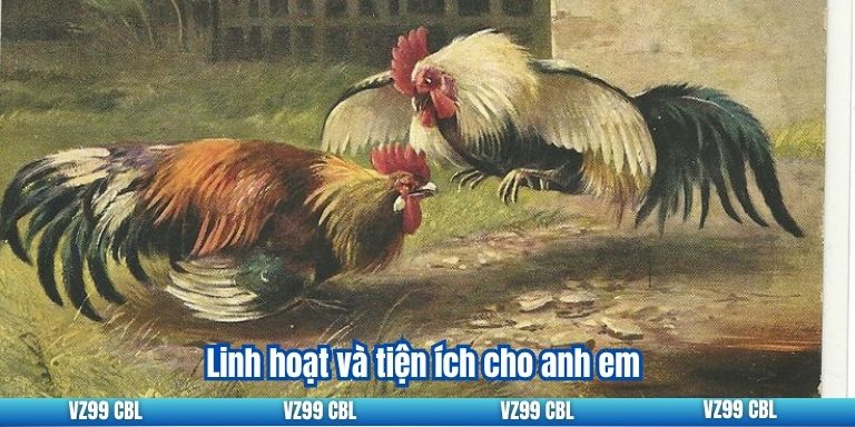 Trực Tiếp Đá Gà C3: Trải Nghiệm Cá Cược Đỉnh Cao Tại VZ99 3 Linh hoạt và tiện ích cho anh em